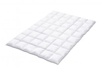 KAUFFMANN EIDERDAUNE Exclusive medium 