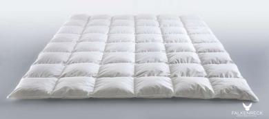 FALKENRECK White Edition Norddt. All Season 