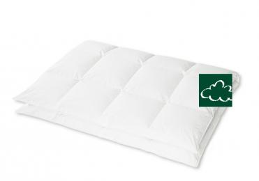 HANSKRUCHEN Kassettendecke Regent medium 