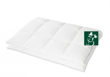 HANSKRUCHEN Kassettendecke Regent extra warm 