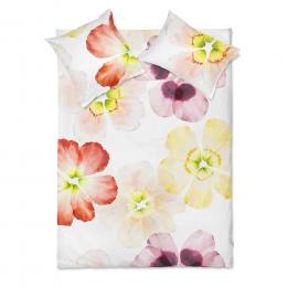 SCHLOSSBERG AURORA blanc 