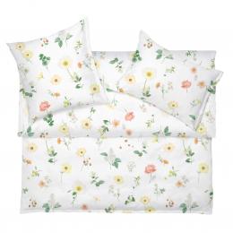 SCHLOSSBERG ZINNIA Noblesse blanc 