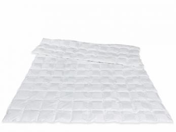 Traumina CUBE DAUNE WK1 