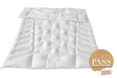 Traumina NOVIS Daune WK2 