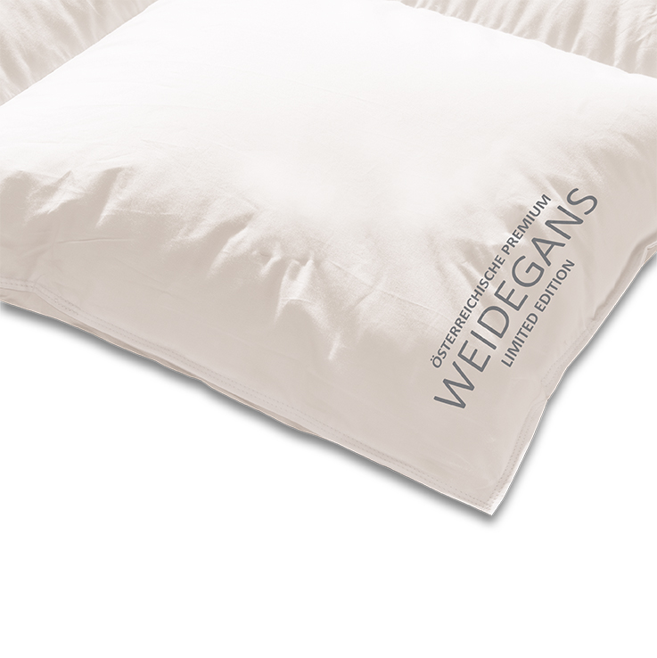 KAUFFMANN Österreichische Weidegans warm 